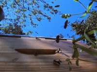 /album/o-topos-mas/img-2851-jpg/