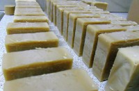 /album/pos-doylepsame-se-eikones/a83a86aadd114fed43e51b96580c50a3c25ce193372356cb1ff34b867a76e8783-jpg1/